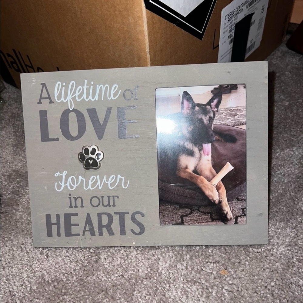 Gray Pet Memorial Frame